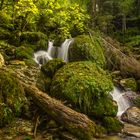 Wasserfall im Märchenwald