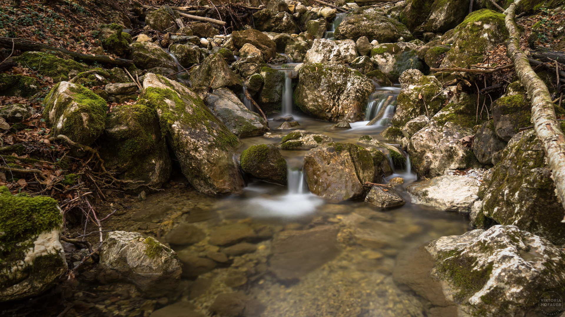 Wasserfall im Märchenwald