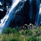 Wasserfall im Milford Sound