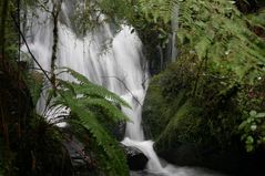 Wasserfall im Milford Sound, Neuseeland