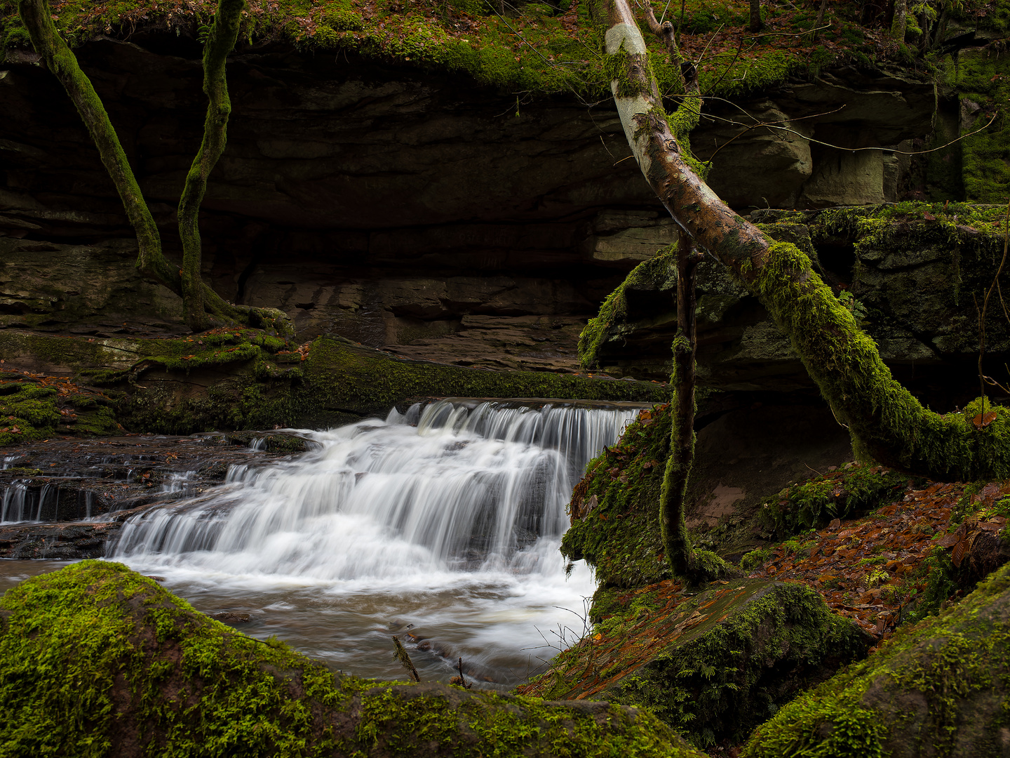 Wasserfall im Monbachtal 