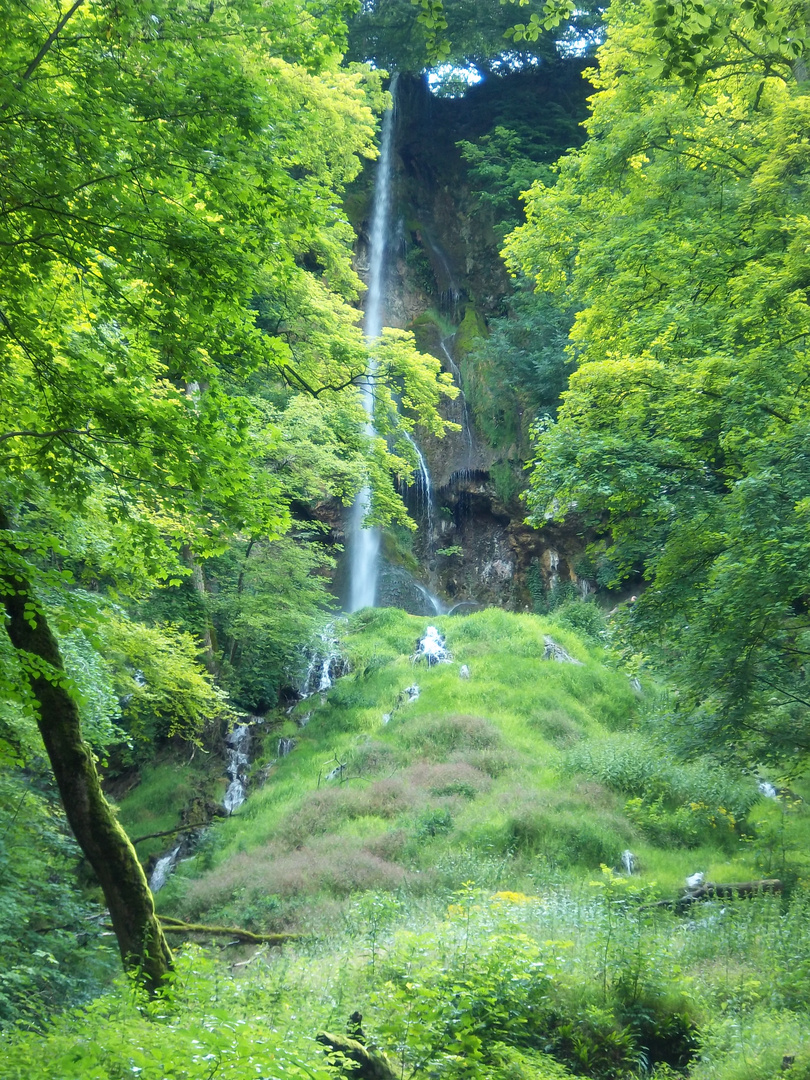 Wasserfall im Moos