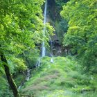 Wasserfall im Moos