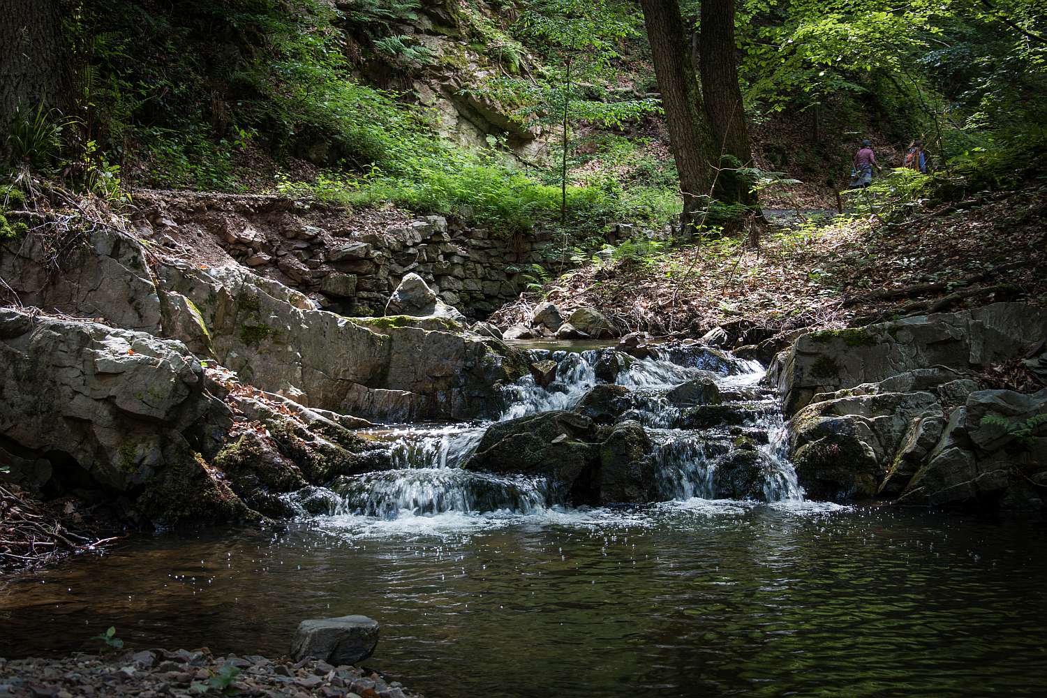 Wasserfall im Morgenbachtal