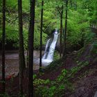 Wasserfall im Naturlehrpfad Wetzikon/CH