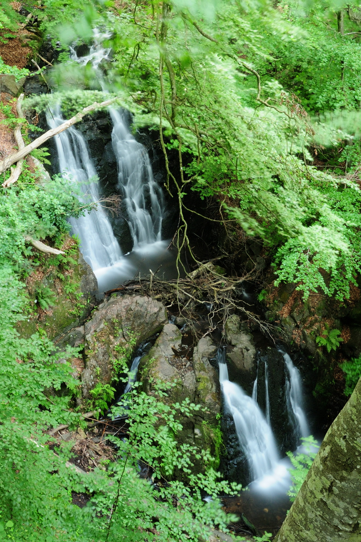 Wasserfall im Naturschutzgebiet Forsakar (Schweden)