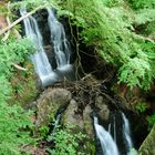 Wasserfall im Naturschutzgebiet Forsakar (Schweden)