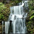 Wasserfall im Pukekura Park ( New Plymouth )