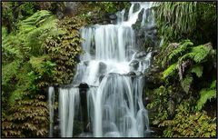 Wasserfall im Pukekura Park ( New Plymouth )