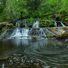 Wasserfall im Regenwald