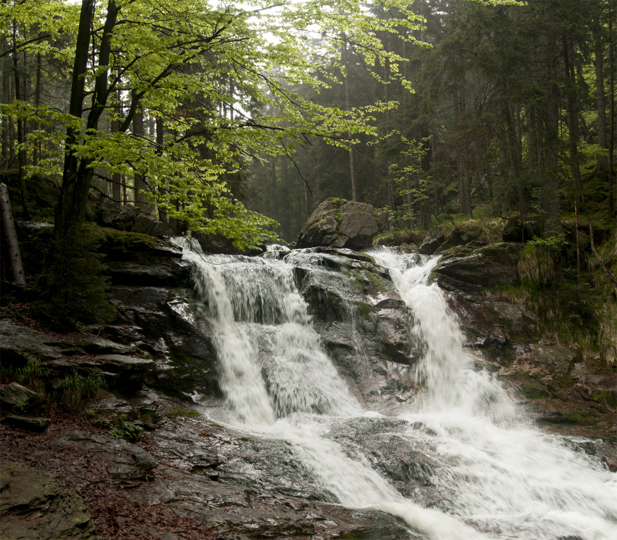 Wasserfall im Riesloch