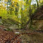 Wasserfall im Rinkenburger Tobel (2)