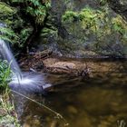 Wasserfall im romantischne Puck's Glen II