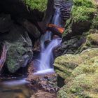 Wasserfall im romantischne Puck's Glen III