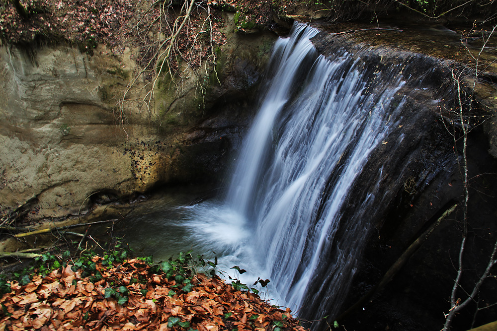 Wasserfall im Schmalegger Tobel