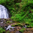 Wasserfall im Schwarzwald