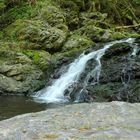 Wasserfall im Schwarzwald