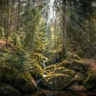 Wasserfall im Schwarzwald