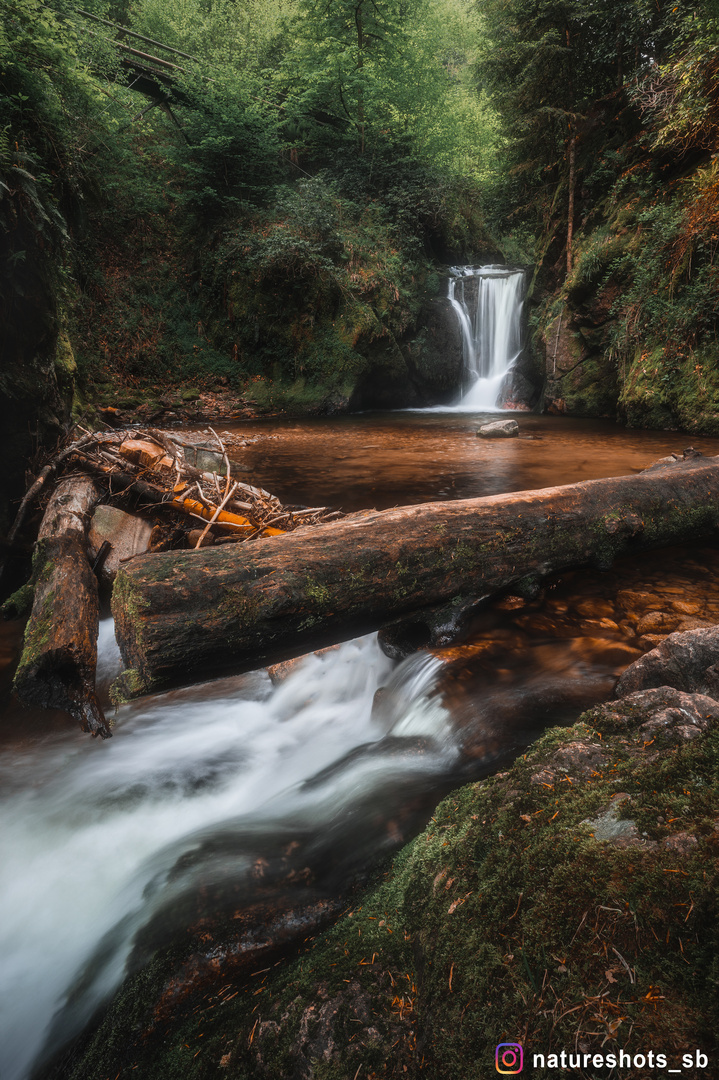 Wasserfall im Schwarzwald