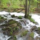 Wasserfall im Selketal (Harz)