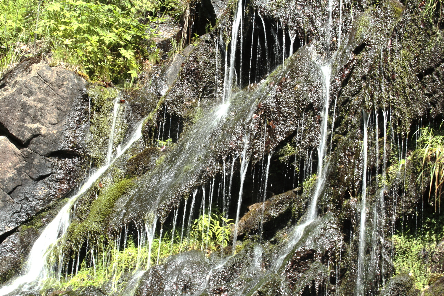 Wasserfall im Sommer