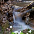 Wasserfall im Sonnental