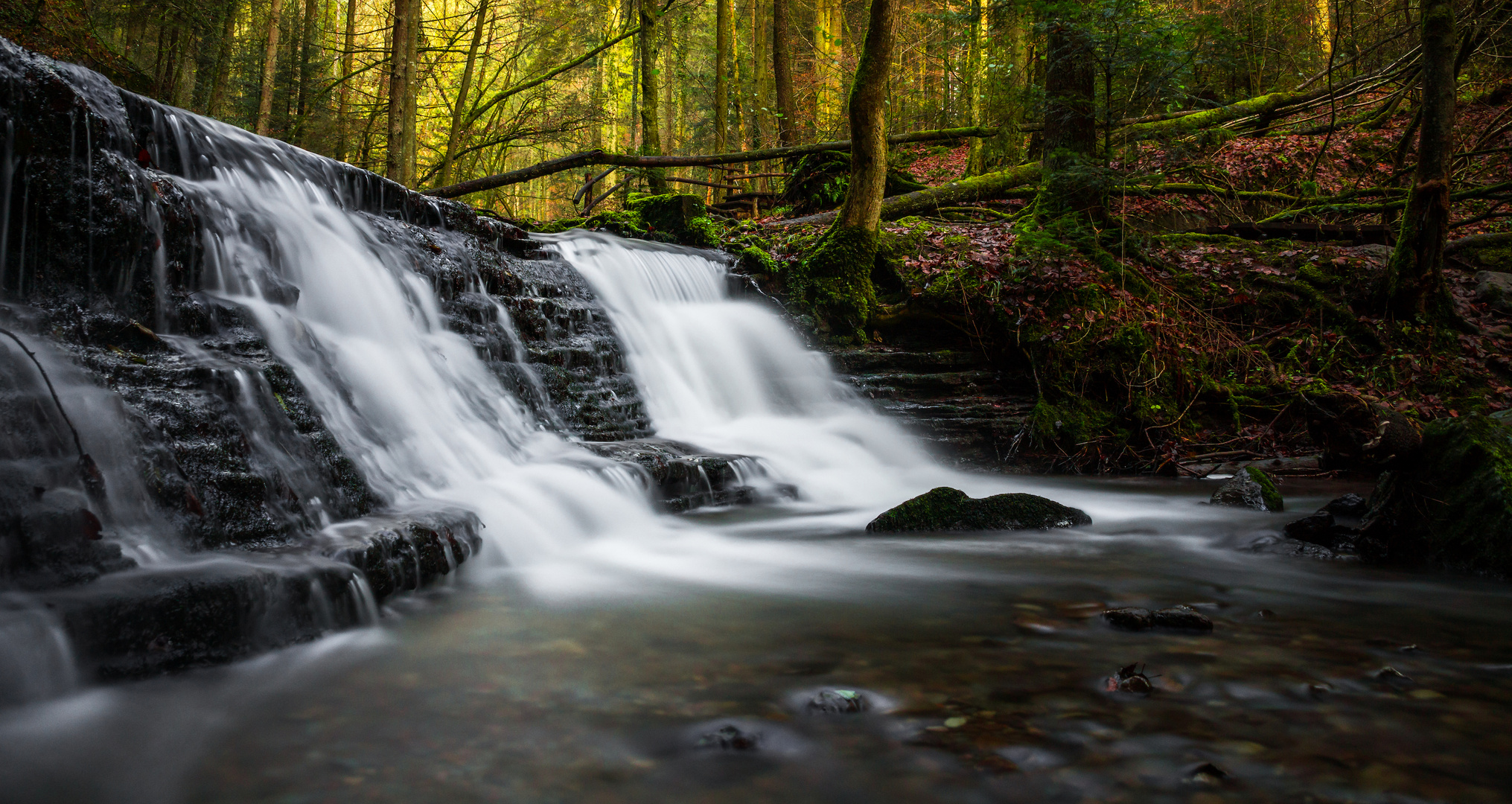 Wasserfall im Strümpfelbachtal