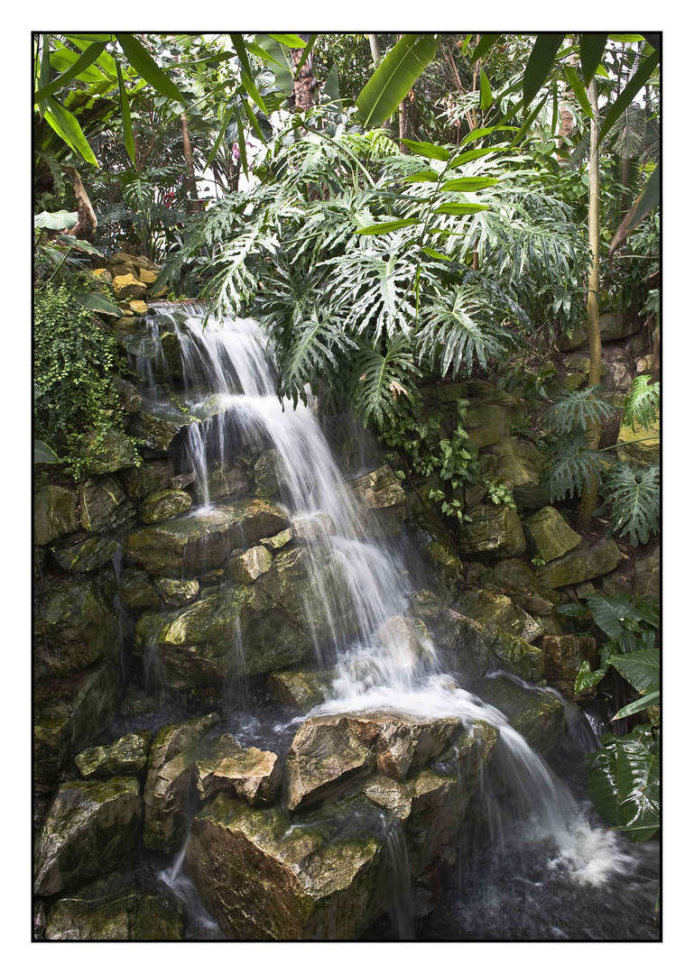 Wasserfall im Tropenhaus des Grugaparks