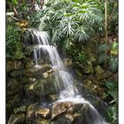 Wasserfall im Tropenhaus des Grugaparks