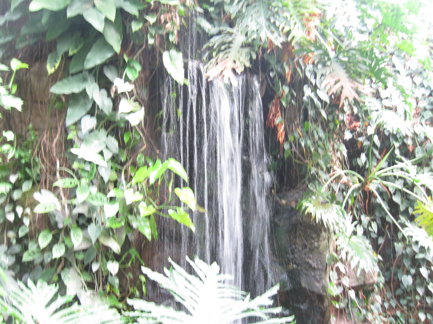 wasserfall im tropischen regenwald