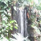 wasserfall im tropischen regenwald