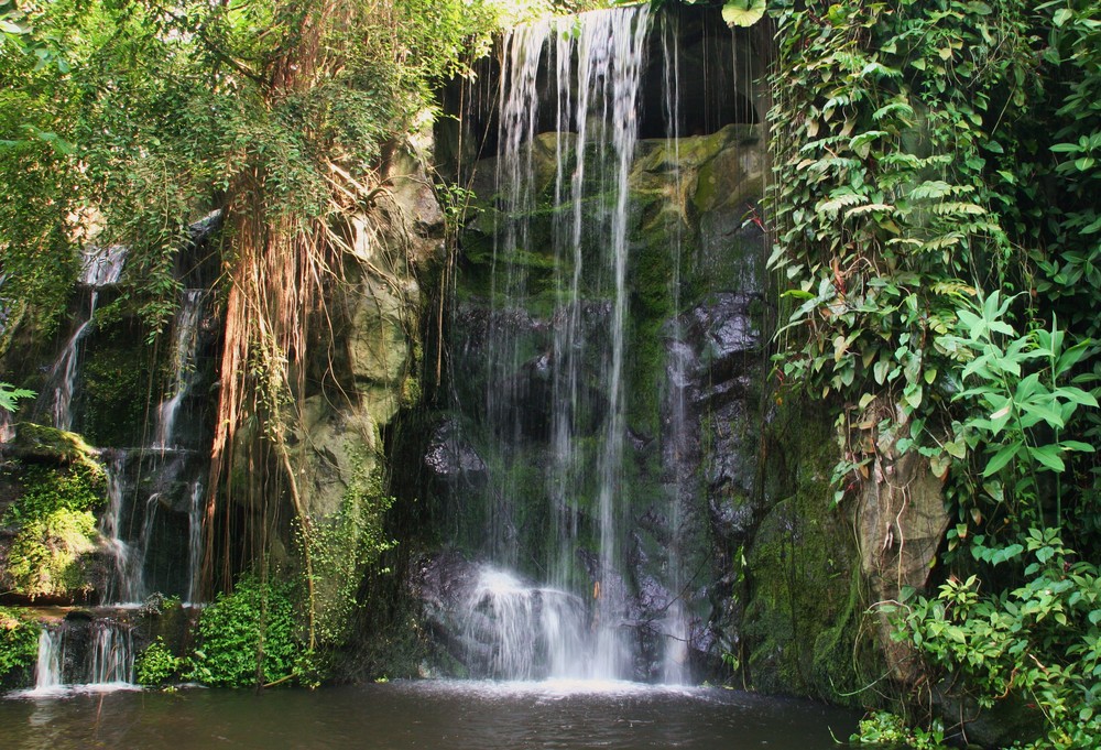 Wasserfall im Urwald