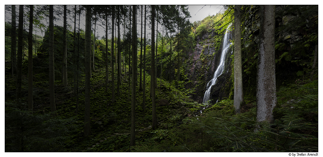 Wasserfall im Wald