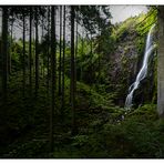 Wasserfall im Wald