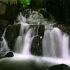 Wasserfall im Wald