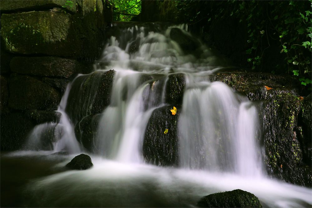 Wasserfall im Wald