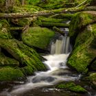 Wasserfall im Wald