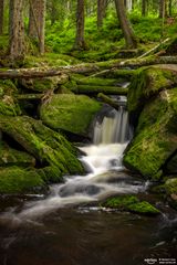 Wasserfall im Wald