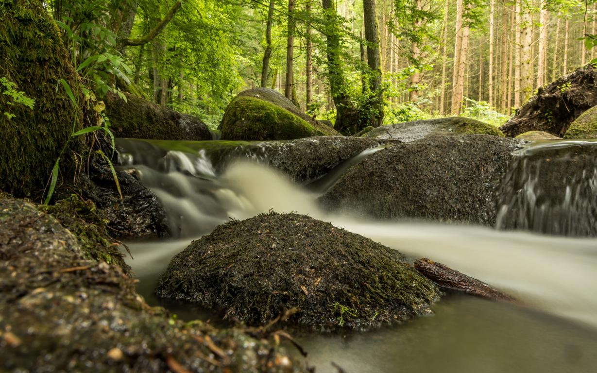 Wasserfall im Wald