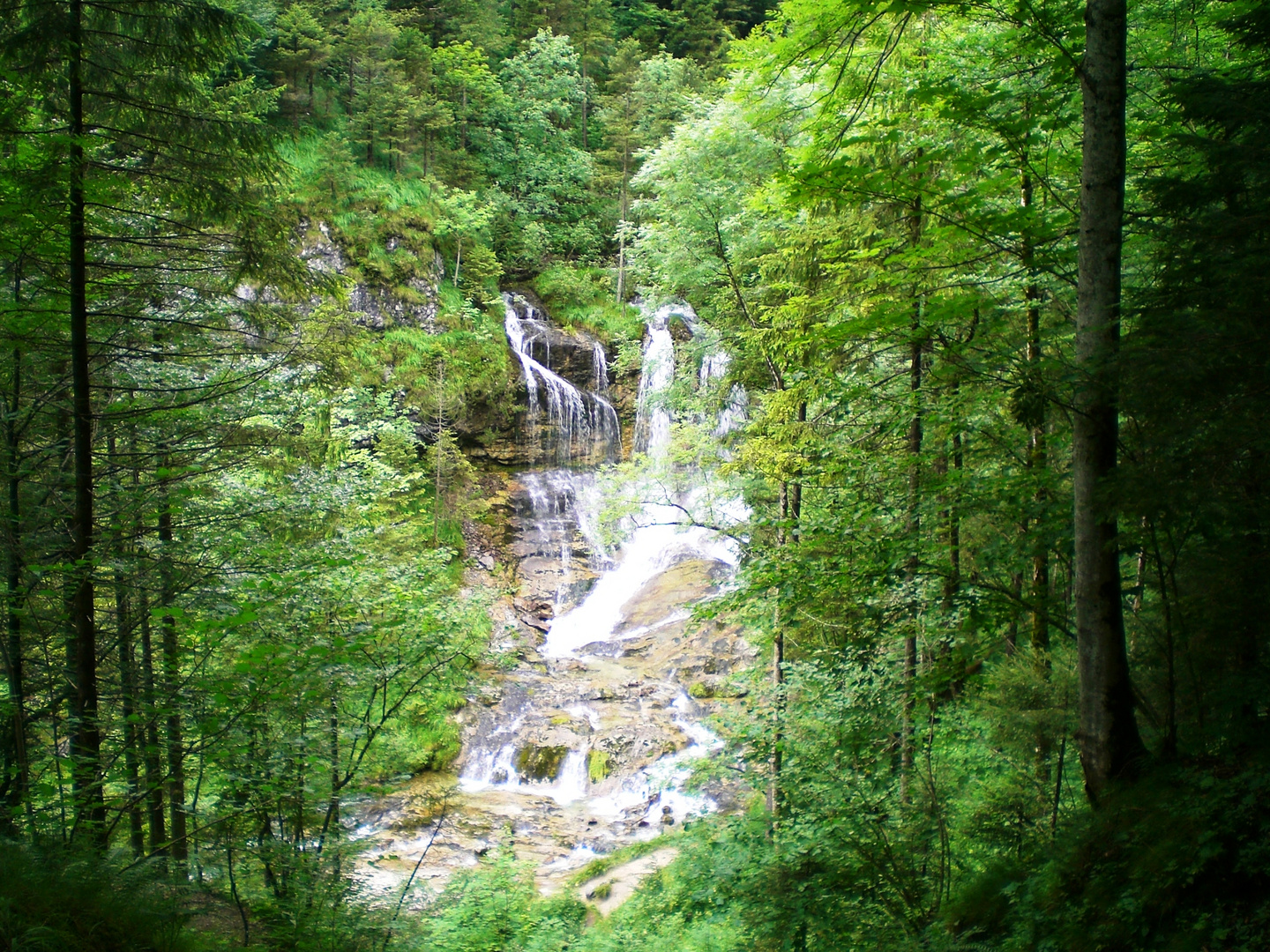 Wasserfall im Wald