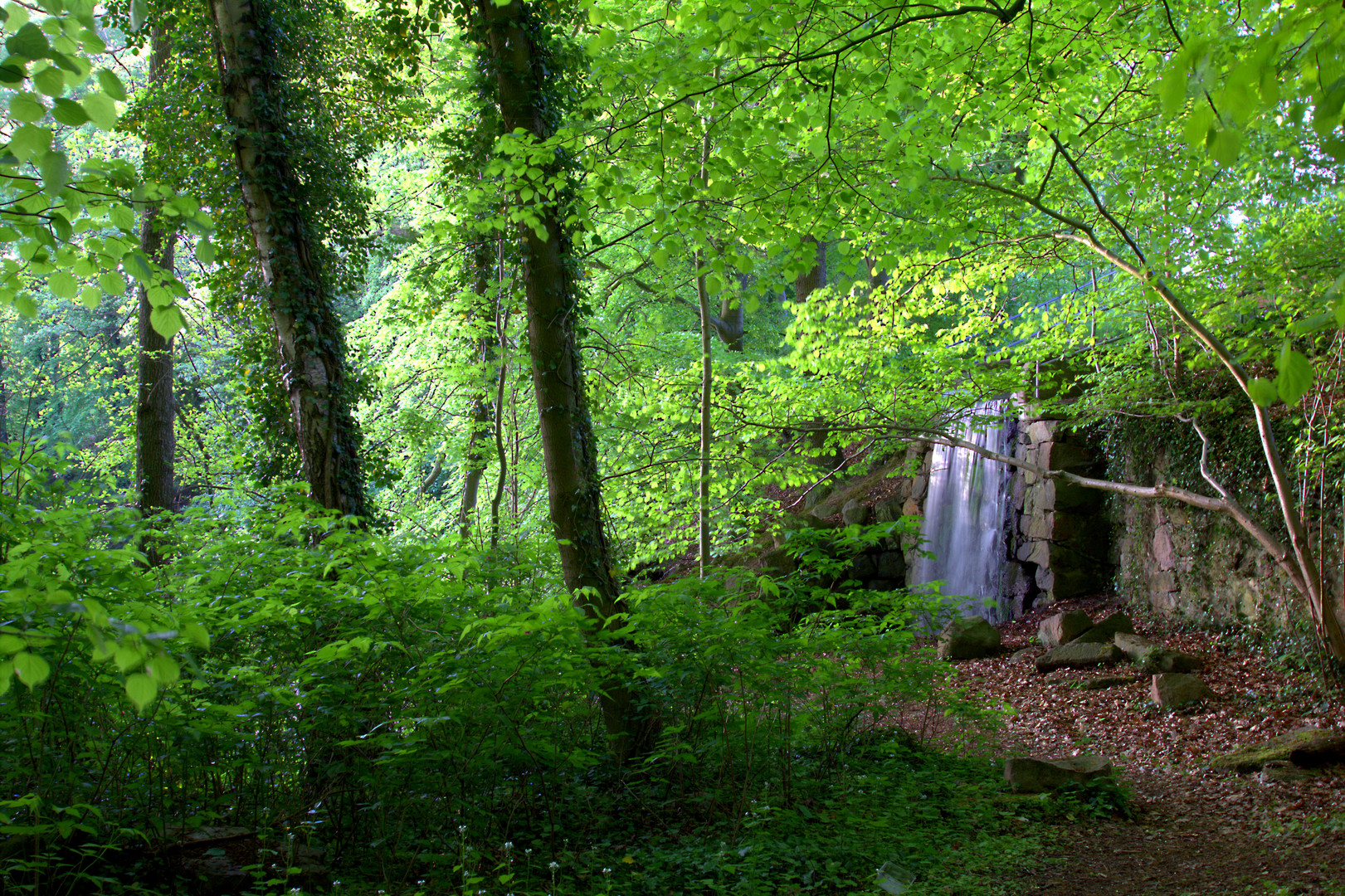 Wasserfall im Wald