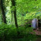 Wasserfall im Wald