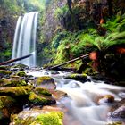 Wasserfall im Wald von Australien