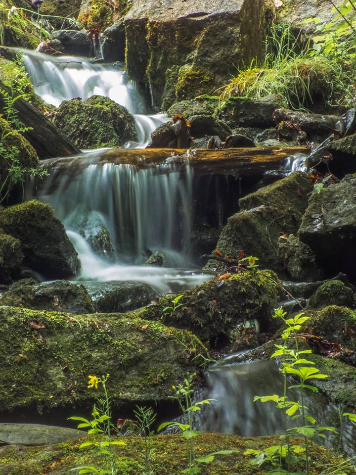 Wasserfall im Wald_1