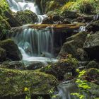 Wasserfall im Wald_1