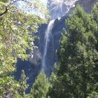 Wasserfall im Yosemite Nationalpark Kalifornien