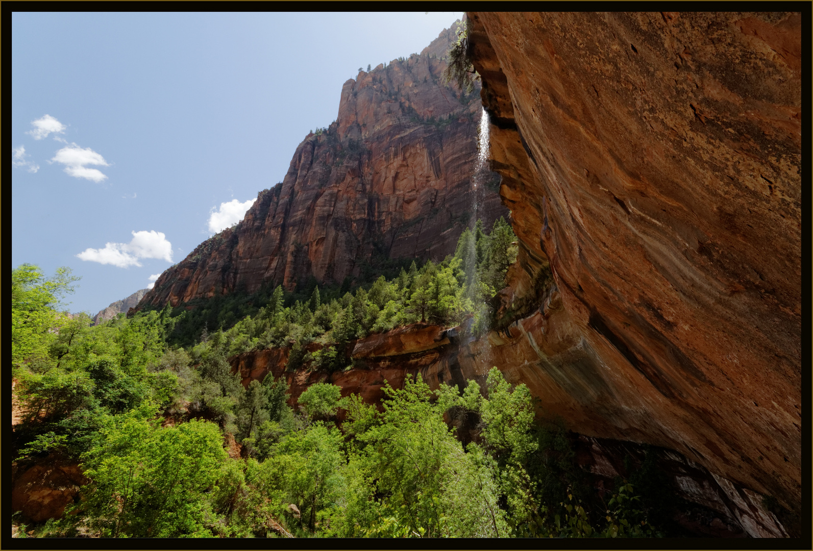 Wasserfall im Zion NP