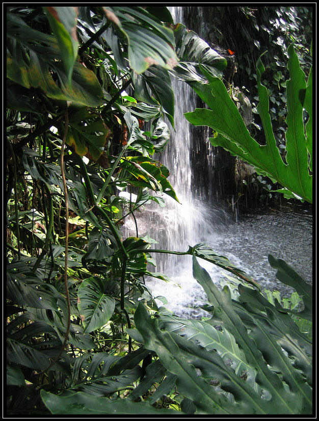 Wasserfall im Zoo