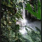 Wasserfall im Zoo