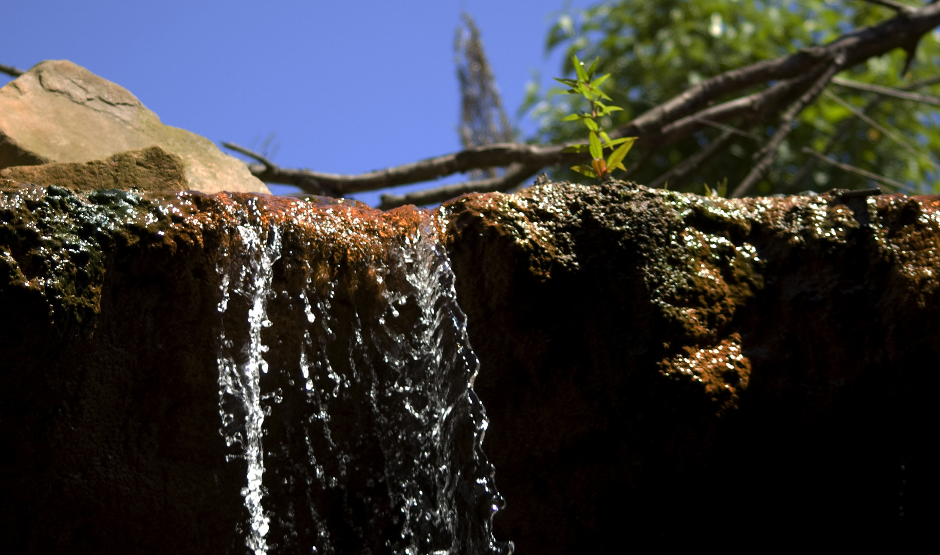 Wasserfall im Zoo Gelsenkirchen (Zoom)